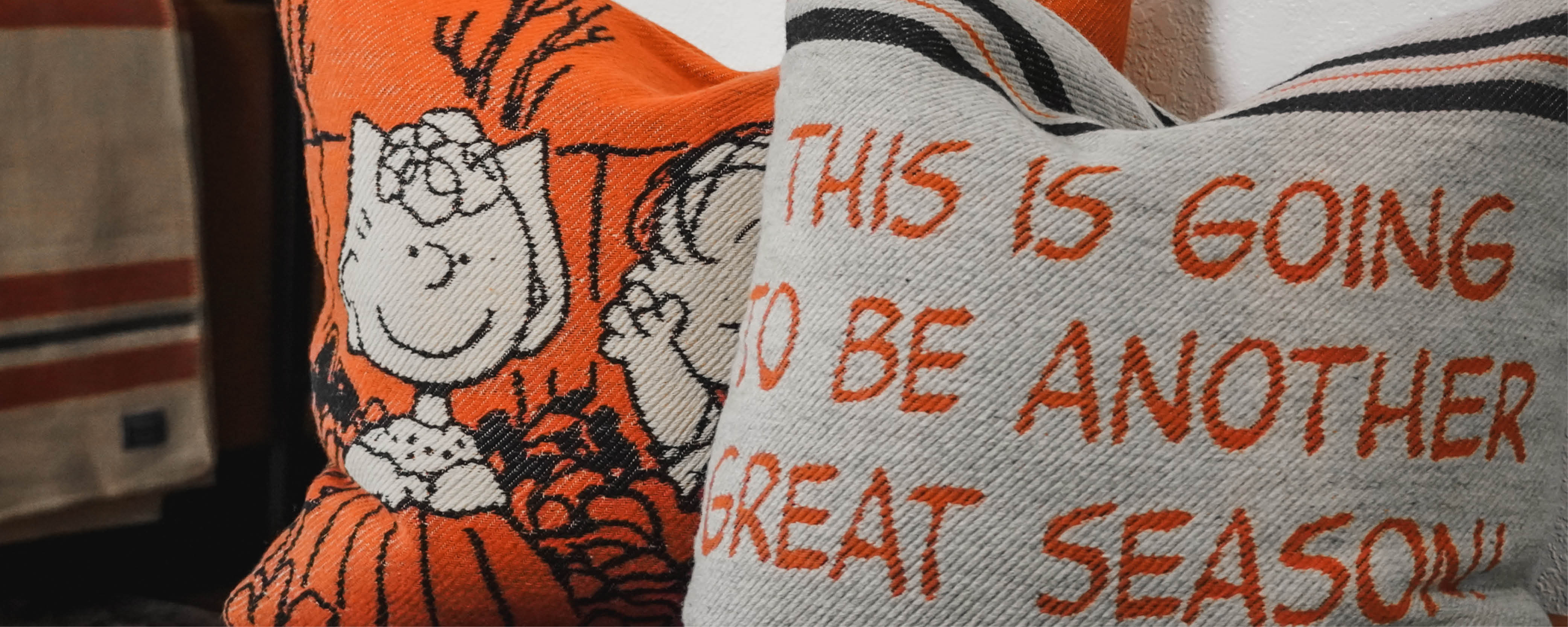 Peanuts Pillow Cases