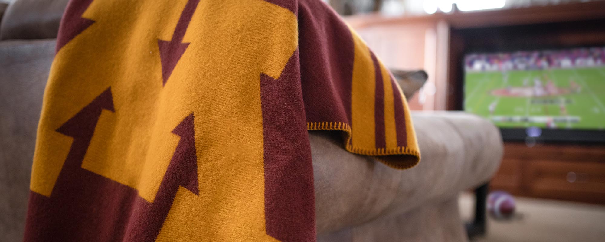 School Logo Throw Blankets