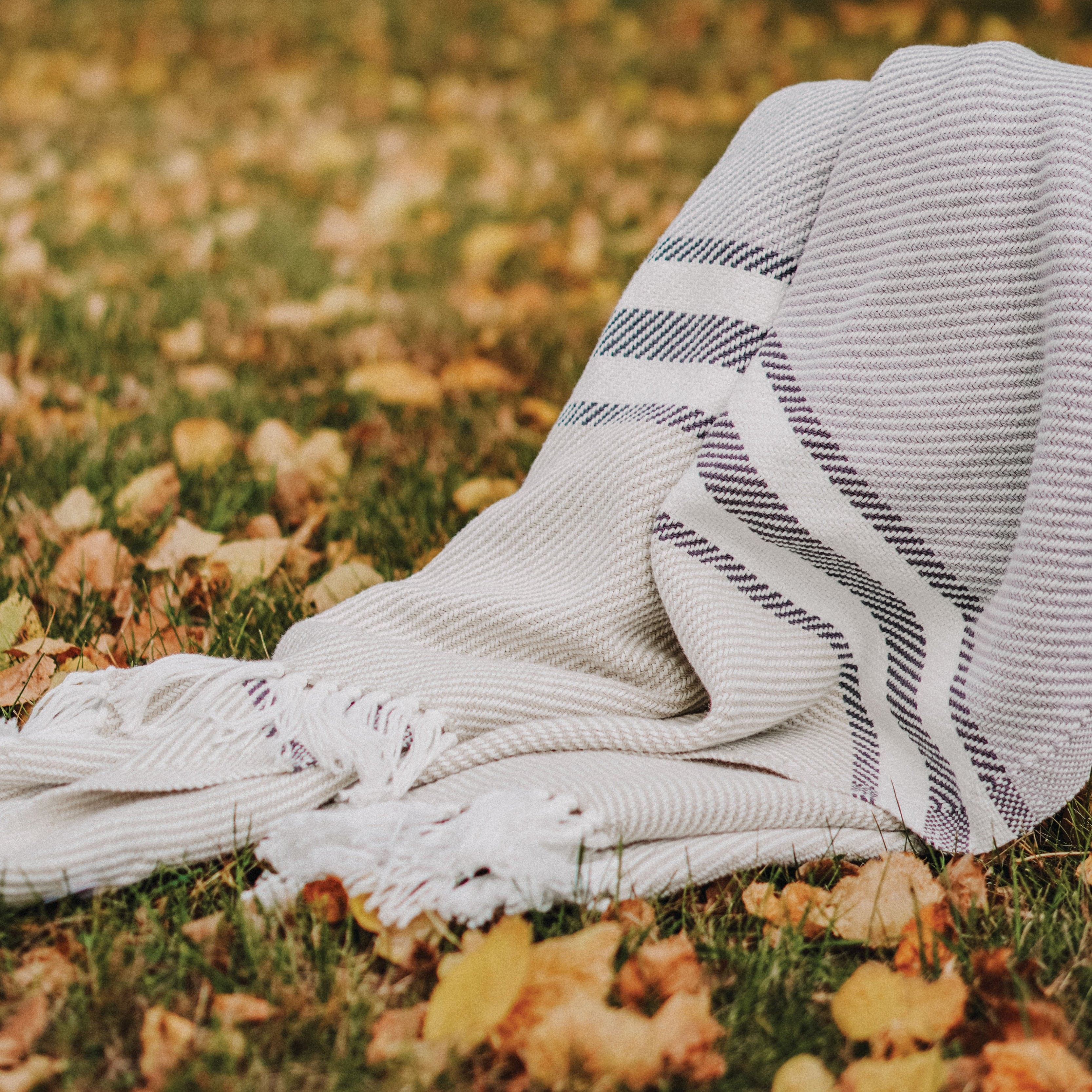 Allagash Cotton Throw active All Throws Best Seller Cotton Throws Current FWM group-gallery machine washable Regular Priced Throws