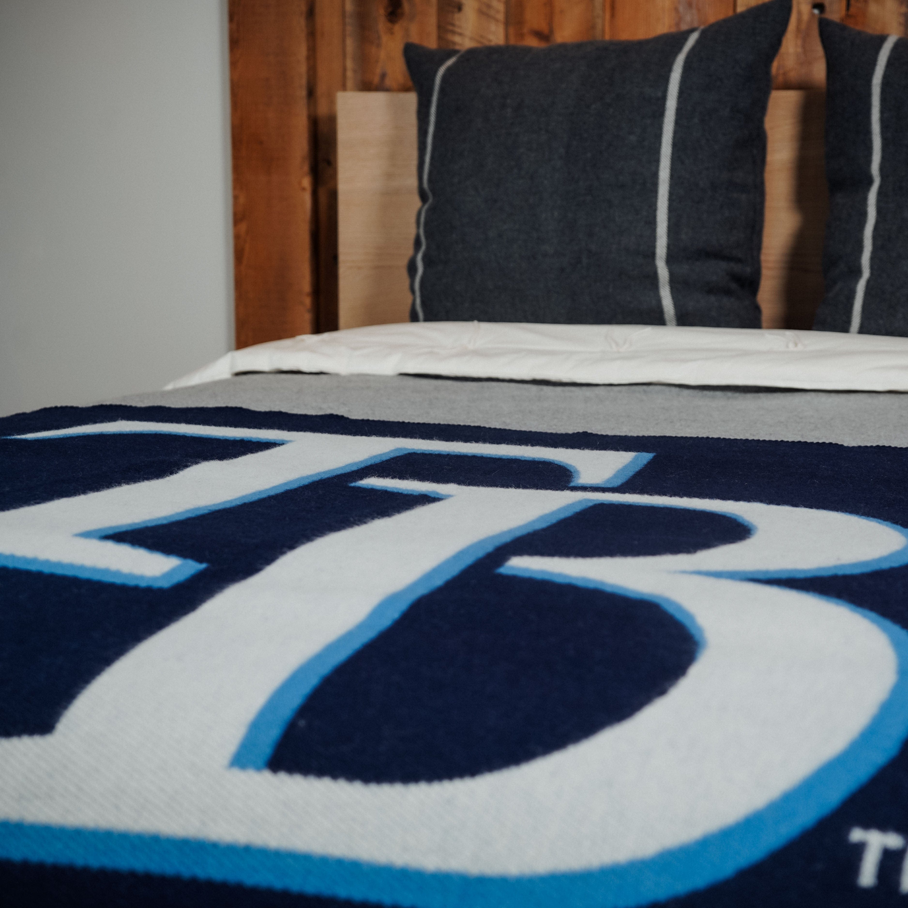Tampa Bay Rays Wool Throw Blanket active Current Dry clean or hand wash Full Price MLB New Lower Price personalization