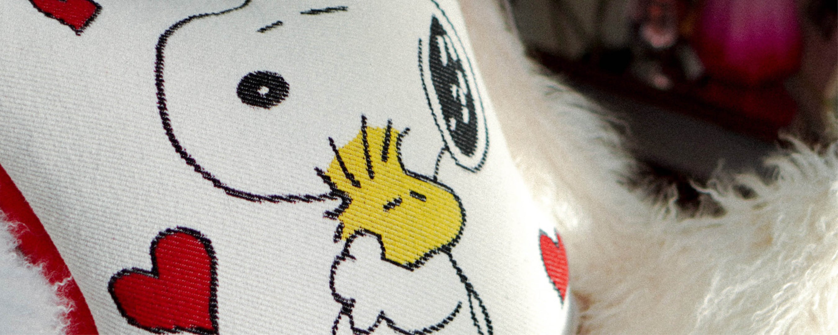 Peanuts Pillow Cases Faribault Mill